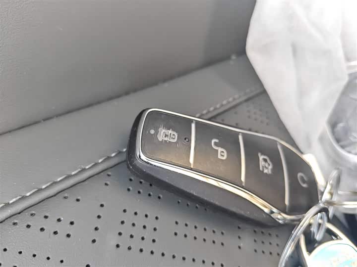 BYD Qin Plus 2025 2025款 DM-i 智驾版 55KM领先型