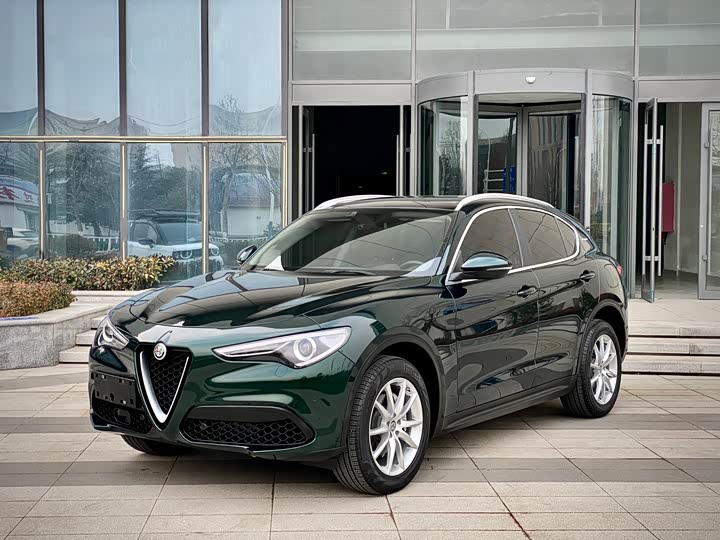 Alfa Romeo Stelvio 2020 2020款 2.0T 280HP 豪华版
