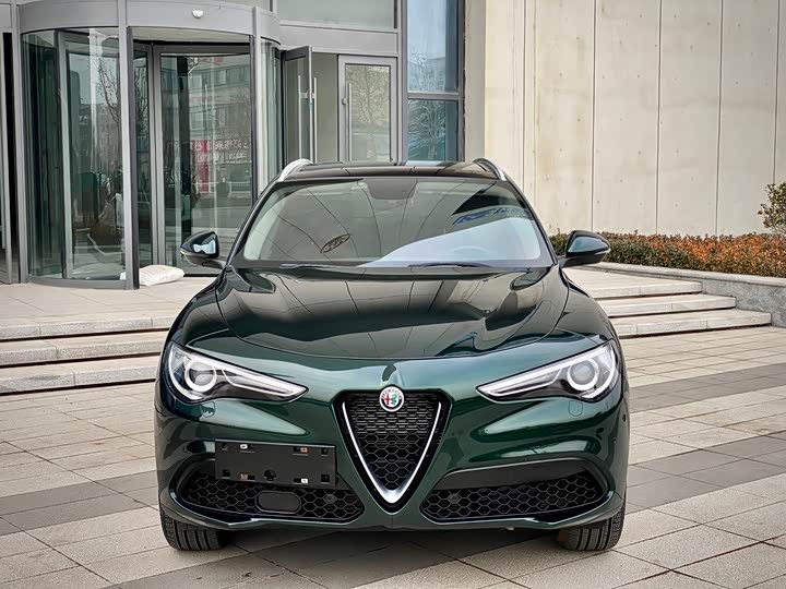 Alfa Romeo Stelvio 2020 2020款 2.0T 280HP 豪华版