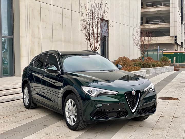 Alfa Romeo Stelvio 2020 2020款 2.0T 280HP 豪华版