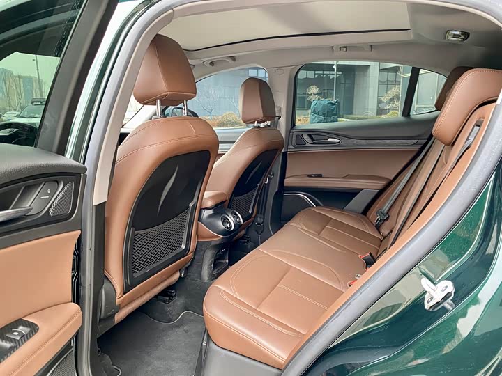 Alfa Romeo Stelvio 2020 2020款 2.0T 280HP 豪华版