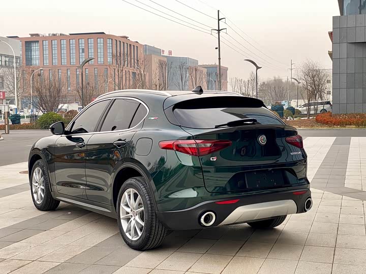 Alfa Romeo Stelvio 2020 2020款 2.0T 280HP 豪华版