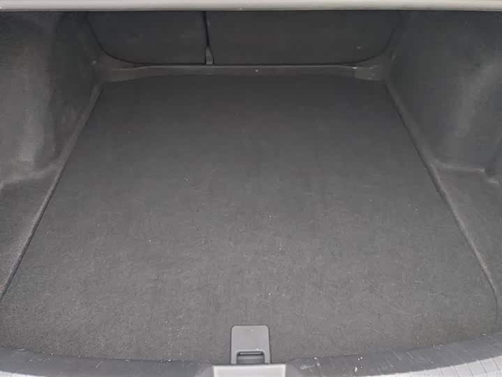 Volkswagen Sagitar L 2025 2025款 300TSI DSG超越版