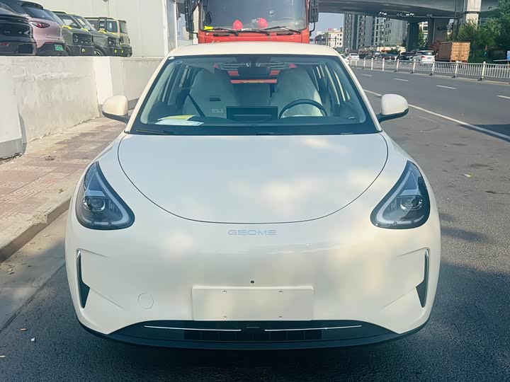 Geely Galaxy Geome 2026 2026款 310km 梦想版