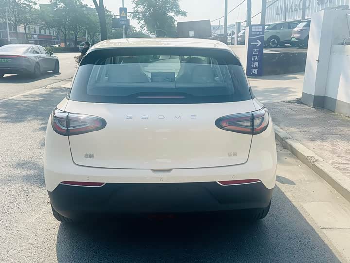 Geely Galaxy Geome 2026 2026款 310km 梦想版