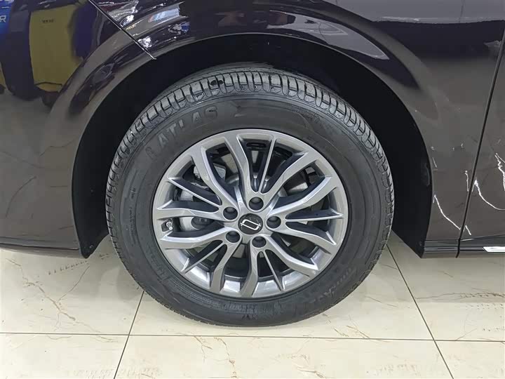 Bestune M9 2023 2023款 2.0T 至尊型