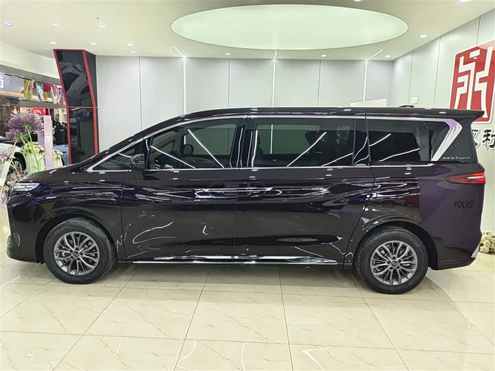 Bestune M9 2023 2023款 2.0T 至尊型