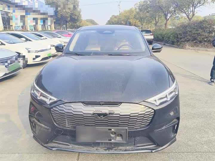 Ford Mustang Mach-E 2021 2021款 无疆后驱豪华版(长续航)