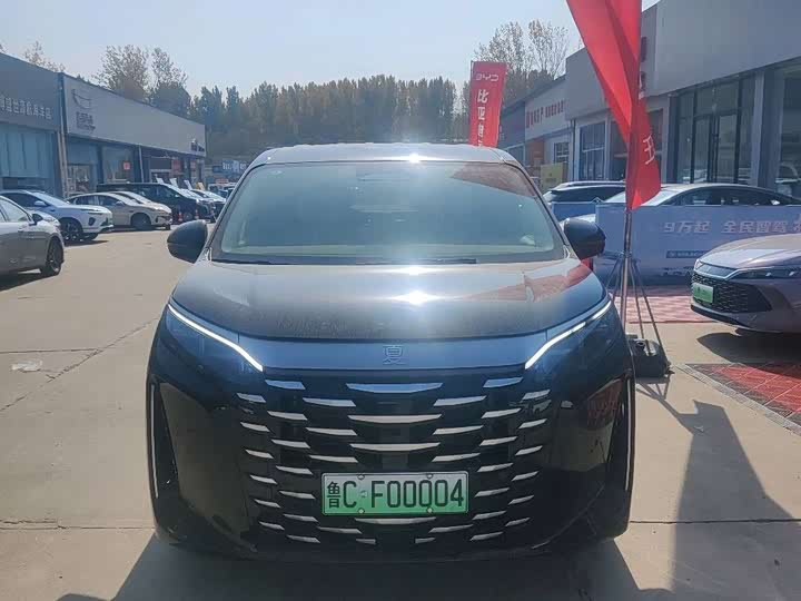 BYD Xia 2025 2025款 DM-i 1.5T 180km 超越型