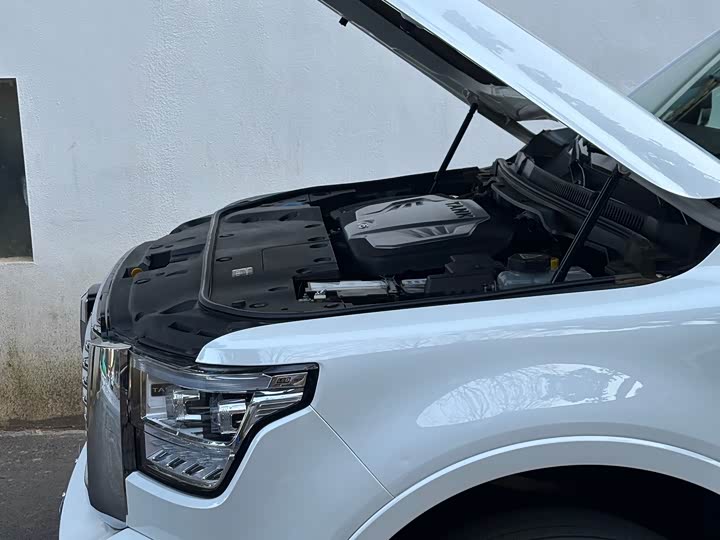 Tank 500 2023 2023款 3.0T 商务版 造境型 5座