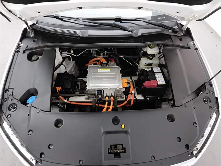 BYD Qin EV 2021 2021款 出行版