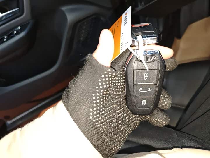 Citroen C5 X 2021 2021款 1.6T 领不凡