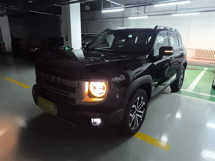 Haval Dargo 2024 2024款 1.5T DCT边牧版