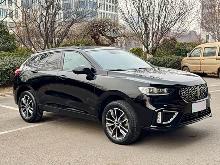 Wey VV5 2021 2021款 1.5T 两驱智先锋