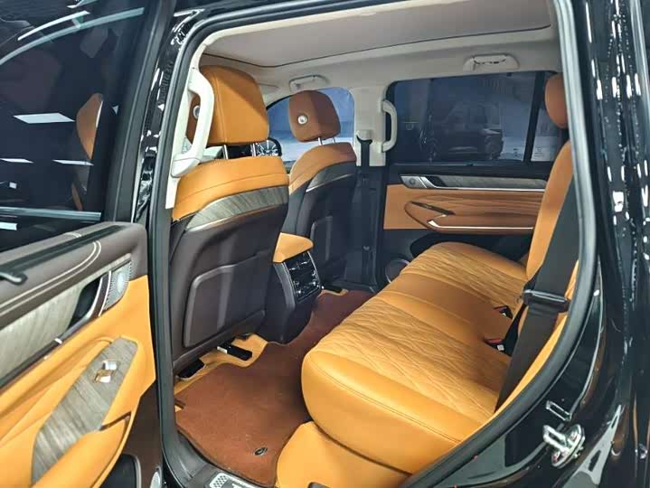 Tank 500 Hybrid 2025 2025款 Hi4-Z