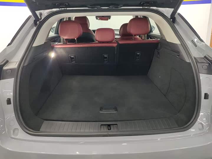 Exeed RX C-DM Hybrid 2024 2024款 1.5T 长续航Pro