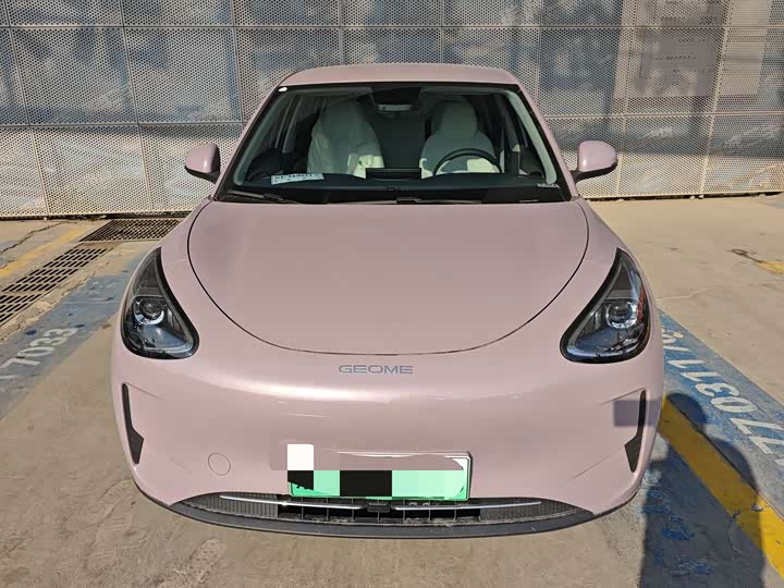 Geely Galaxy Geome 2026 2026款 310km 青春版