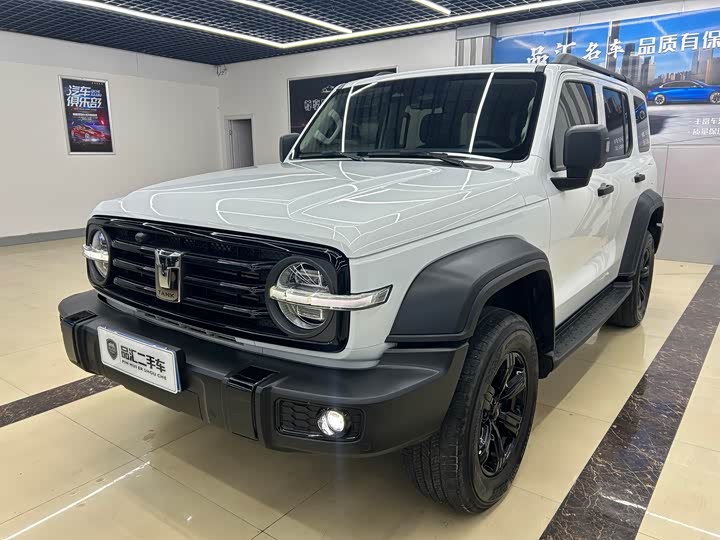 Tank 300 2024 2024款 2.0T 挑战者