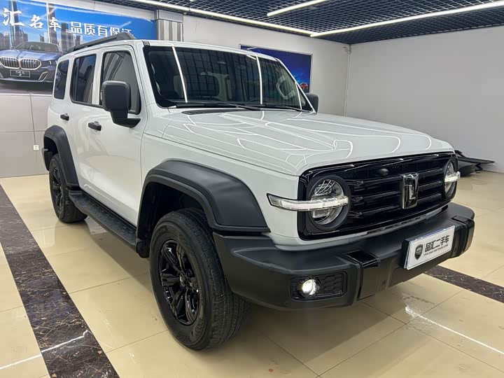 Tank 300 2024 2024款 2.0T 挑战者