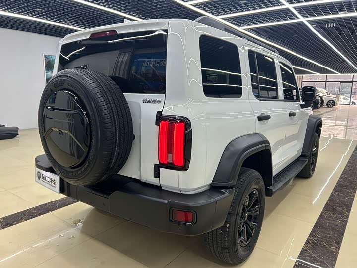 Tank 300 2024 2024款 2.0T 挑战者