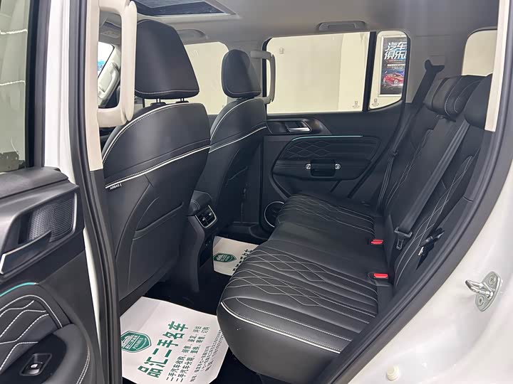 Tank 300 2024 2024款 2.0T 挑战者