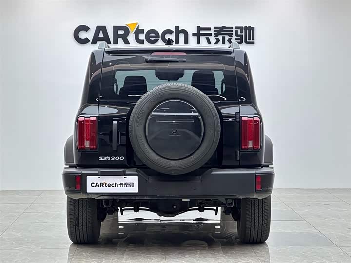 Tank 300 2024 2024款 2.0T 征服者