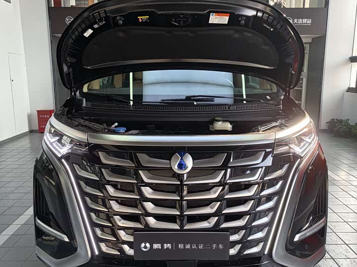 Denza D9 2025 2025款 DM-i 智驾版 1020 四驱旗舰型