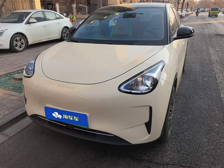 Geely Galaxy Geome 2025 2025款 310km 青春版