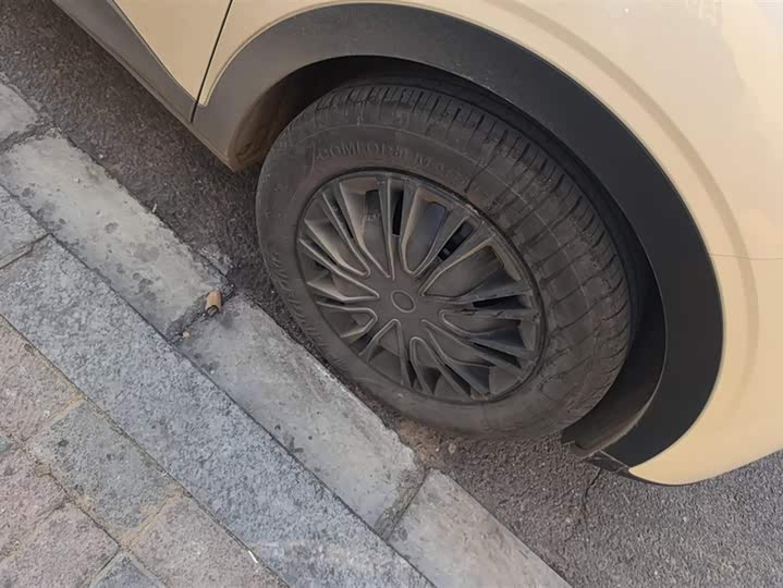 Geely Galaxy Geome 2025 2025款 310km 青春版