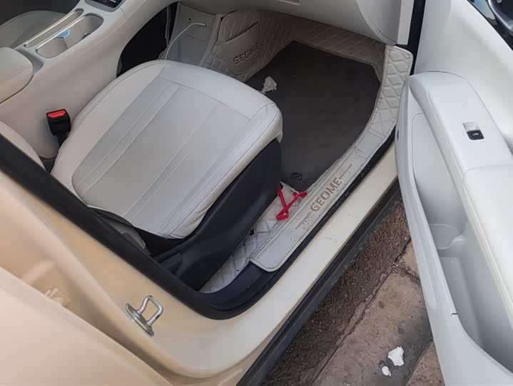 Geely Galaxy Geome 2025 2025款 310km 青春版