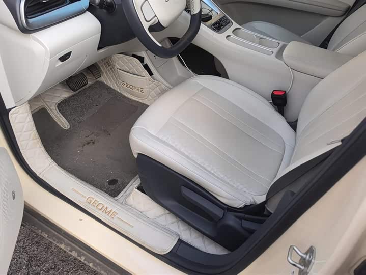 Geely Galaxy Geome 2025 2025款 310km 青春版