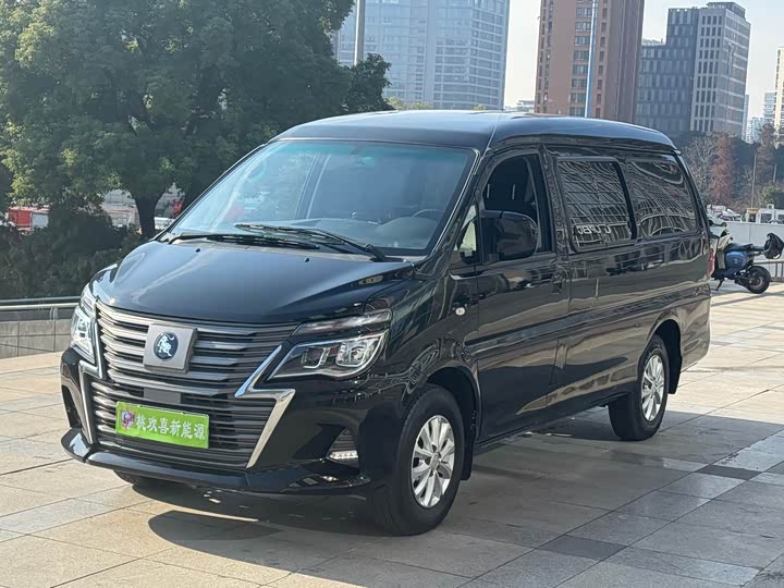 Dongfeng Forthing Lingzhi M5 EV 2022 2022款 普通版 基本型 7座