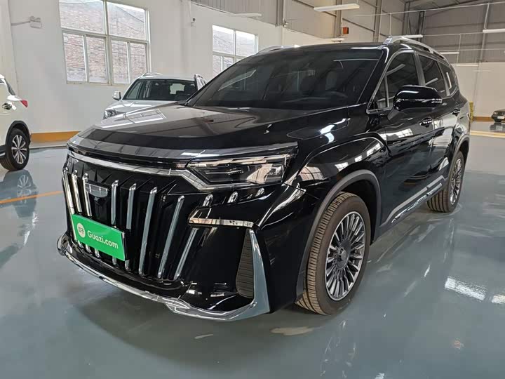 Geely Okavango L 2025 2025款 2.0T DCT尊享款