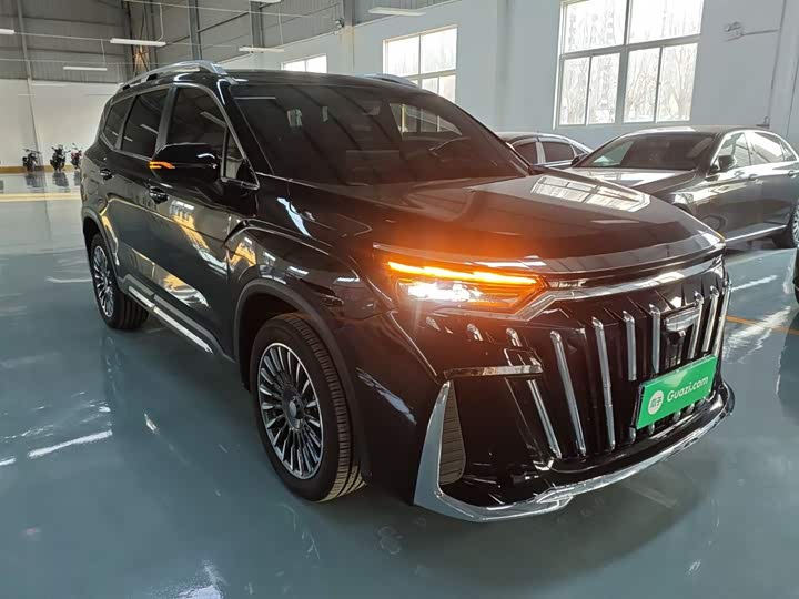 Geely Okavango L 2025 2025款 2.0T DCT尊享款