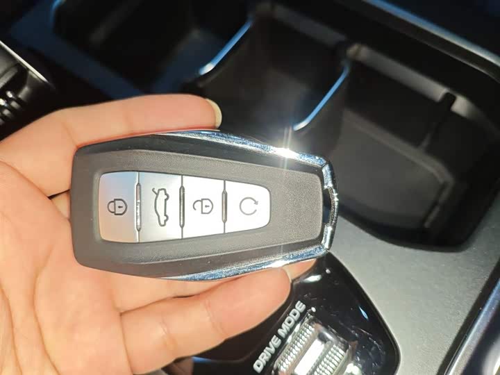 Geely Okavango L 2025 2025款 2.0T DCT尊享款