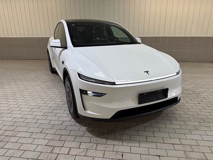 Tesla Model Y 2025 2025款 长续航全轮驱动版