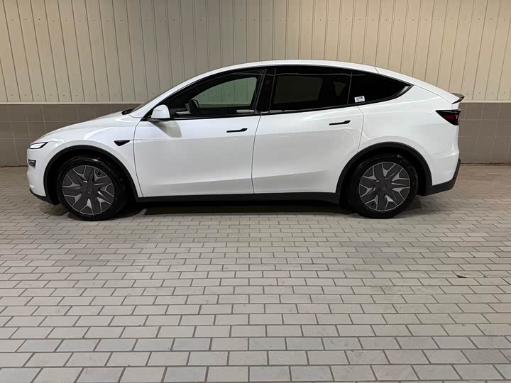 Tesla Model Y 2025 2025款 长续航全轮驱动版