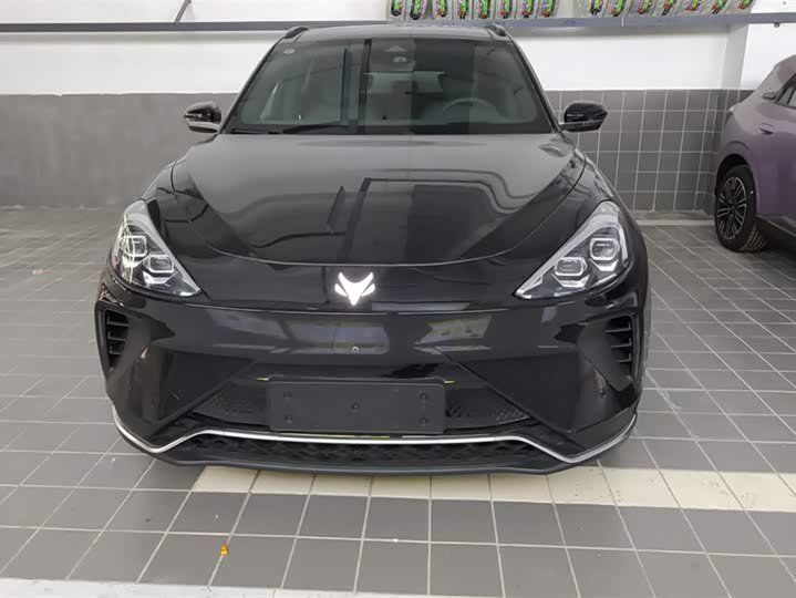 BAIC Arcfox Alpha T 2023 2023款 600D 森林版 320kW