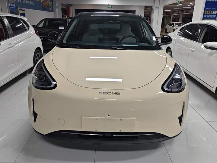 Geely Galaxy Geome 2025 2025款 UP 410km 探索+版