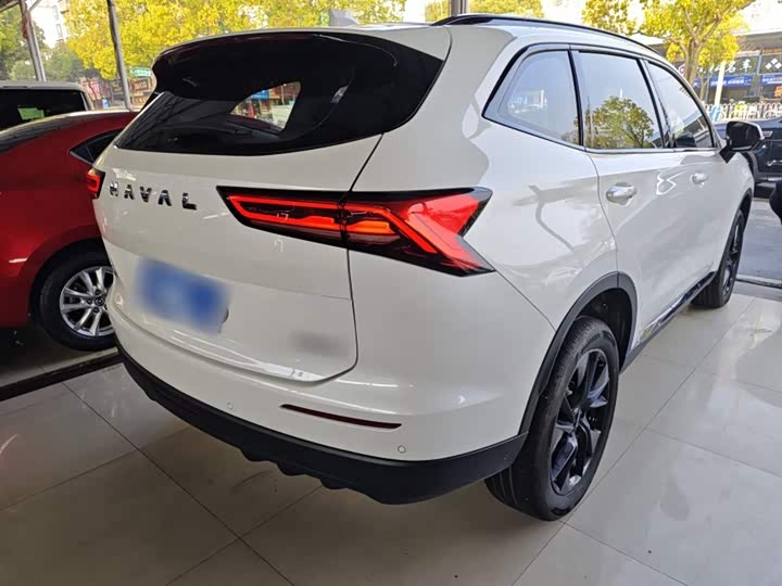 Haval H6 2024 2024款 1.5T 两驱Max