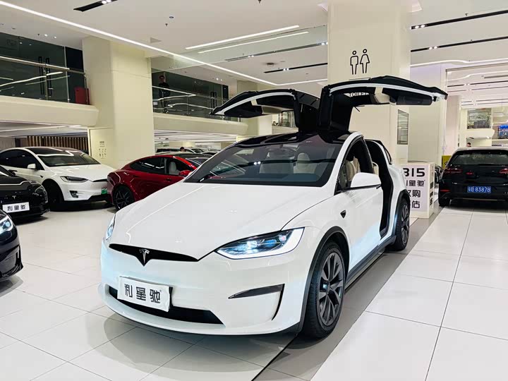 Tesla Model X 2023 2023款 双电机全轮驱动版