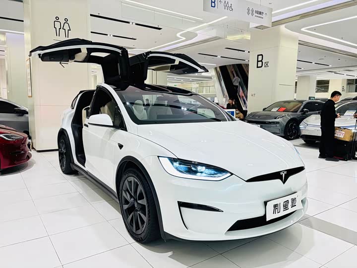 Tesla Model X 2023 2023款 双电机全轮驱动版