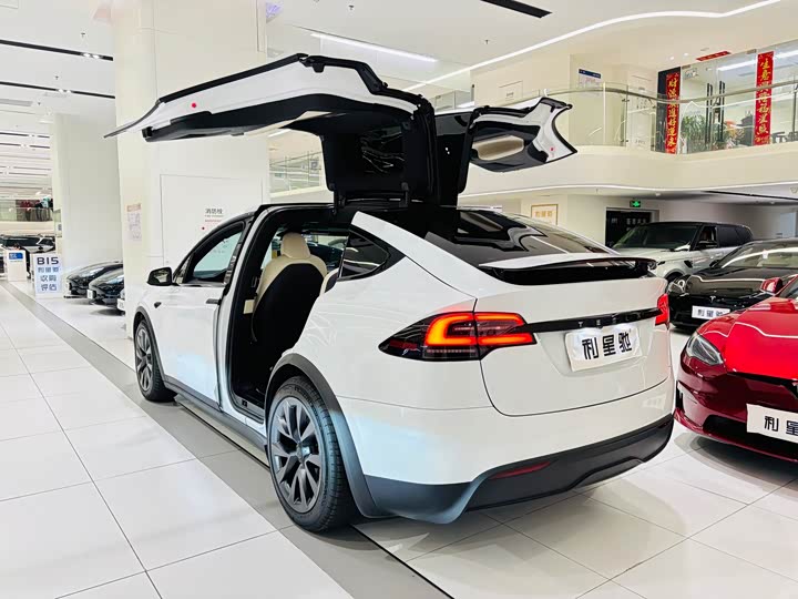 Tesla Model X 2023 2023款 双电机全轮驱动版