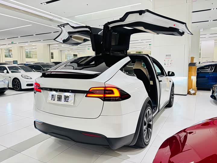 Tesla Model X 2023 2023款 双电机全轮驱动版