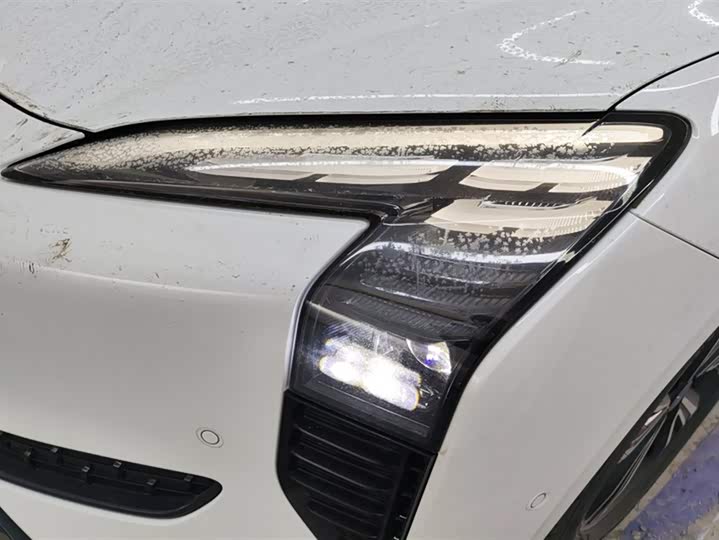 Hongqi EH7 2024 2024款 820 Pro