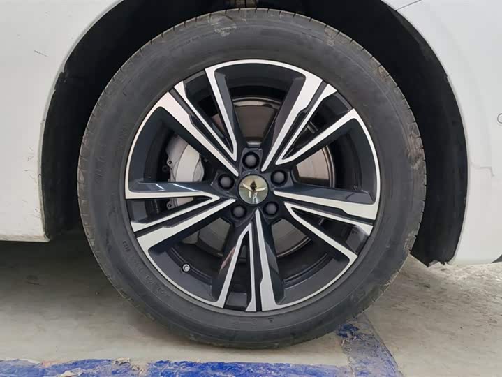 Hongqi EH7 2024 2024款 820 Pro