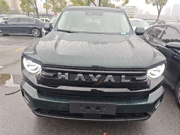 Haval H-Dog Hybrid 2026 2026款 Hi4 105km 潮电版