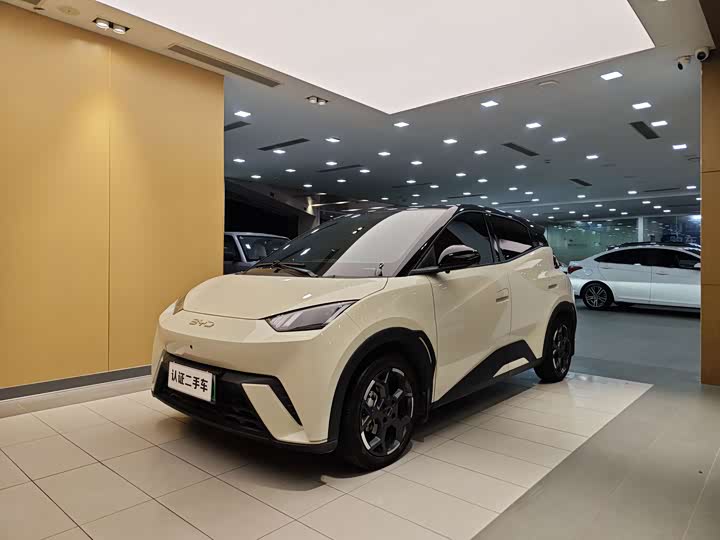 BYD Seagull 2025 2025款 405km 飞翔版