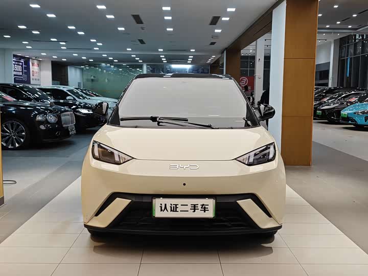 BYD Seagull 2025 2025款 405km 飞翔版