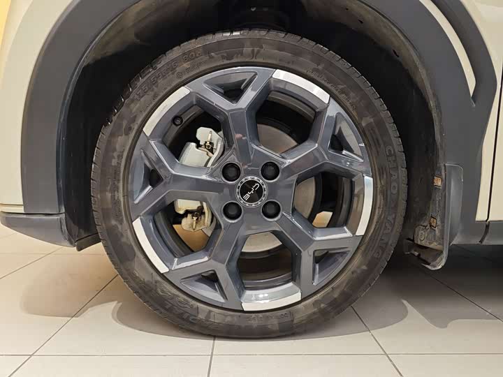 BYD Seagull 2025 2025款 405km 飞翔版